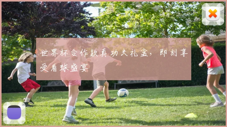 世界杯合作款真功夫礼盒，即刻享受看球盛宴