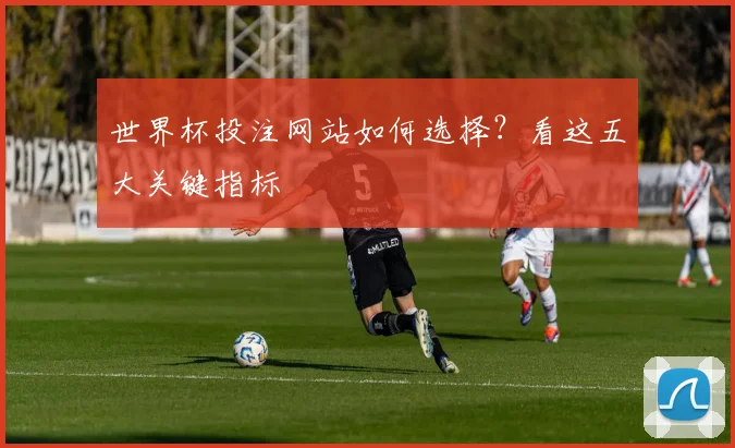 世界杯投注网站如何选择？看这五大关键指标