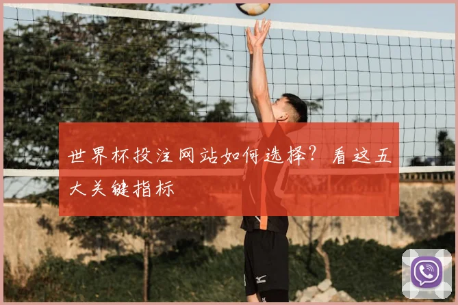 世界杯投注网站如何选择？看这五大关键指标