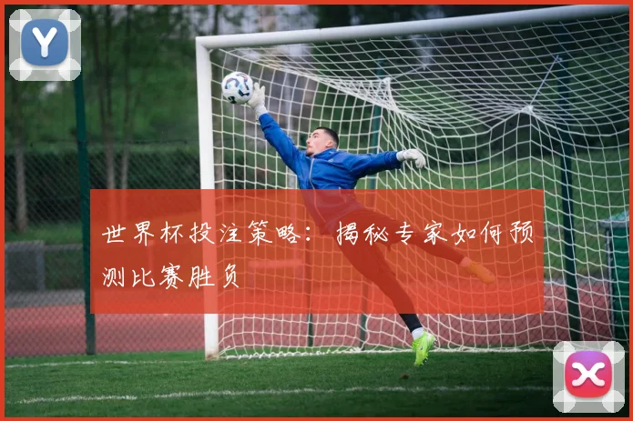 世界杯投注策略：揭秘专家如何预测比赛胜负