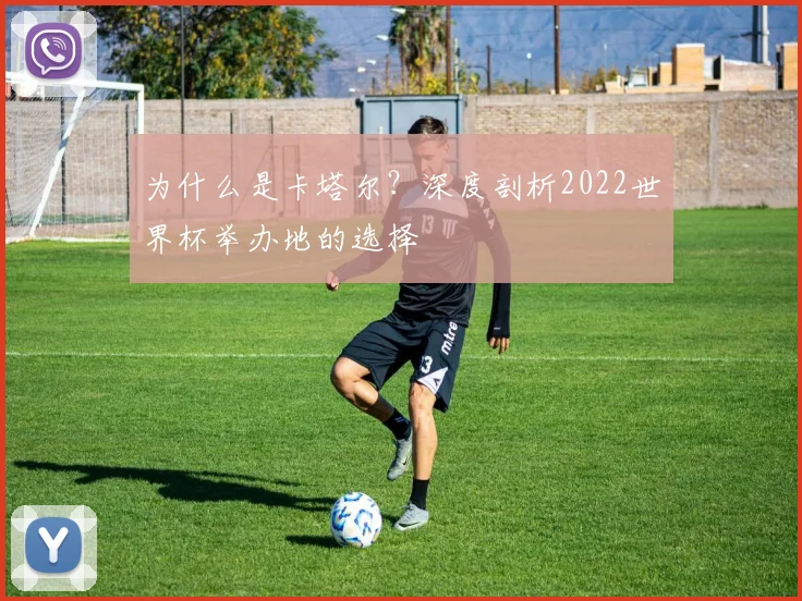 为什么是卡塔尔?深度剖析2022世界杯举办地的选择