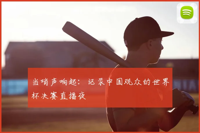 当哨声响起：记录中国观众的世界杯决赛直播夜