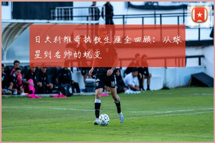日夫科维奇执教生涯全回顾：从球星到名帅的蜕变