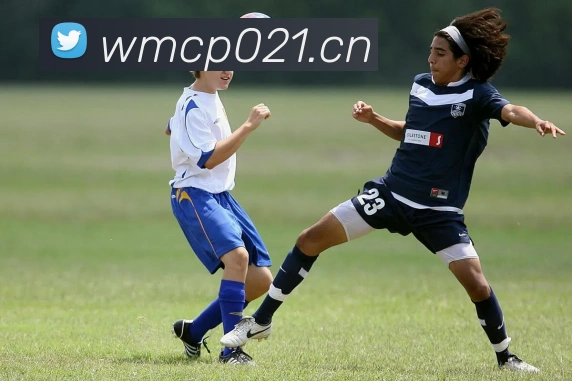 爱游戏ayx平台入口APP 高清赛事图